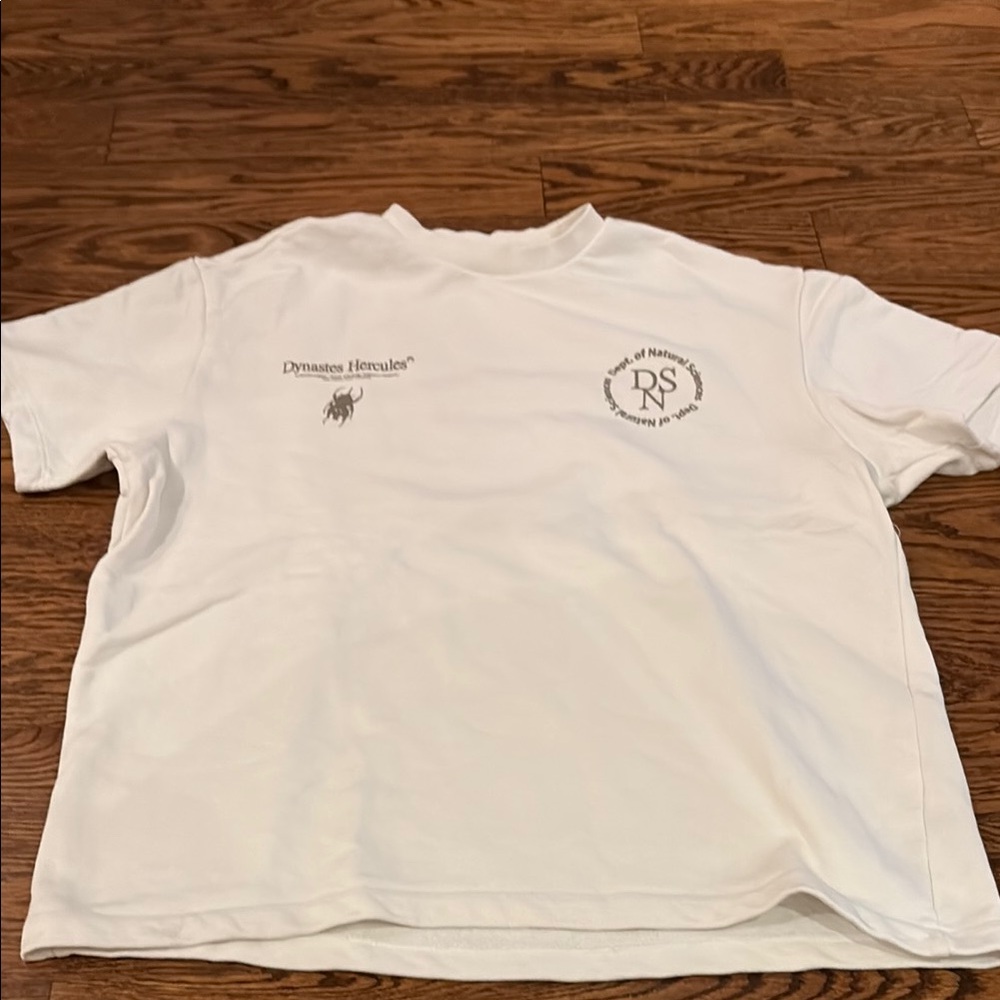 Bershka T shirt